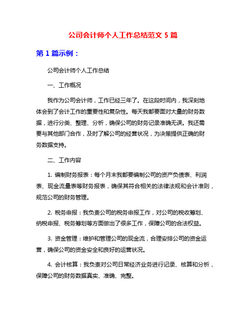 公司会计师个人工作总结范文5篇