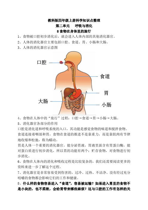 新教科版四年级上册科学2.8食物在身体里的旅行  知识点