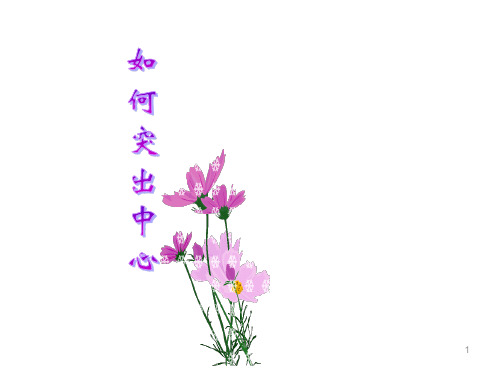 如何突出中心ppt课件