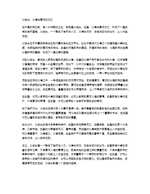 沙坡头：沙漠与黄河的交汇