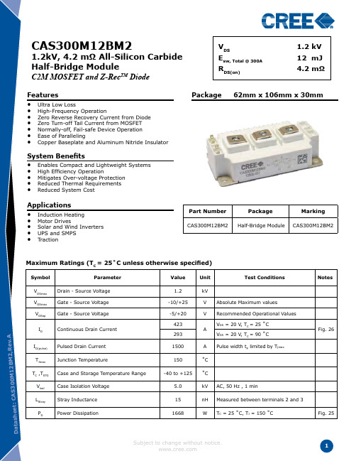 CAS300M12BM2