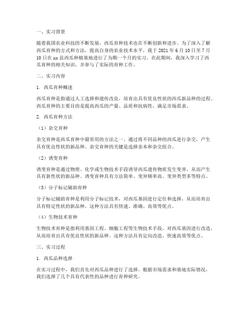 西瓜育种方式的实习报告