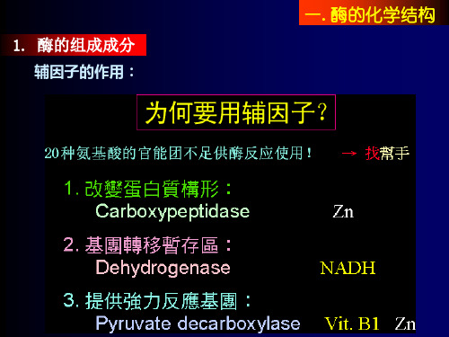 酶结构和功能课件