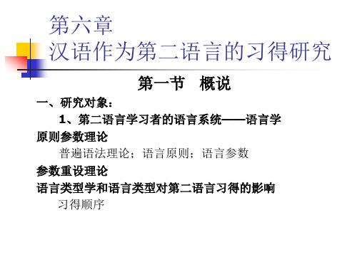 对外汉语教学通论2 第六章汉语作为第二语言的习得研究