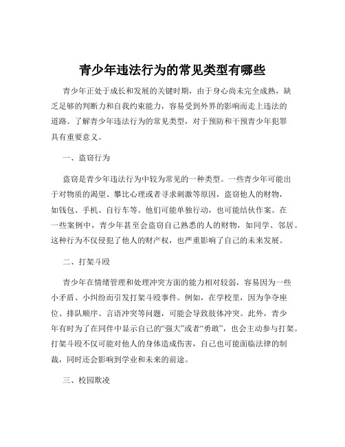 青少年违法行为的常见类型有哪些