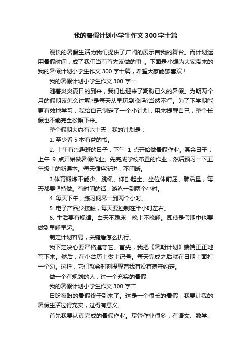 我的暑假计划小学生作文300字十篇