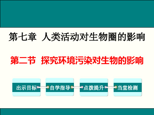 探究环境污染对生物的影响课件人教版生物七年级下册