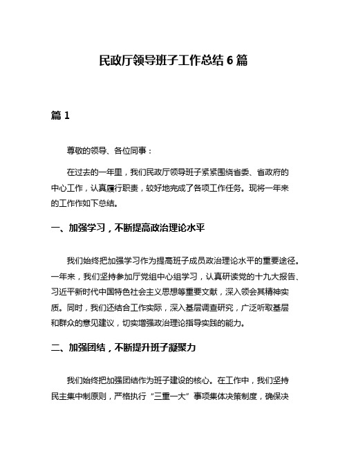 民政厅领导班子工作总结6篇