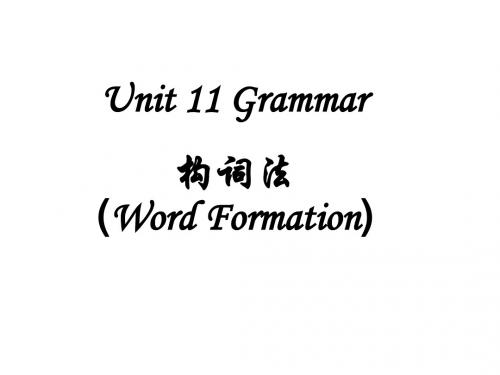 高二英语下学期unit11-grammer(新编2019教材)