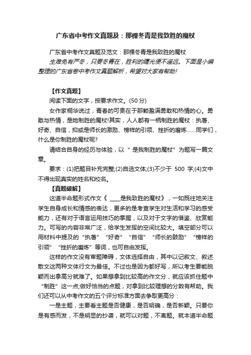 广东省中考作文真题及范文：那棵冬青是我致胜的魔杖