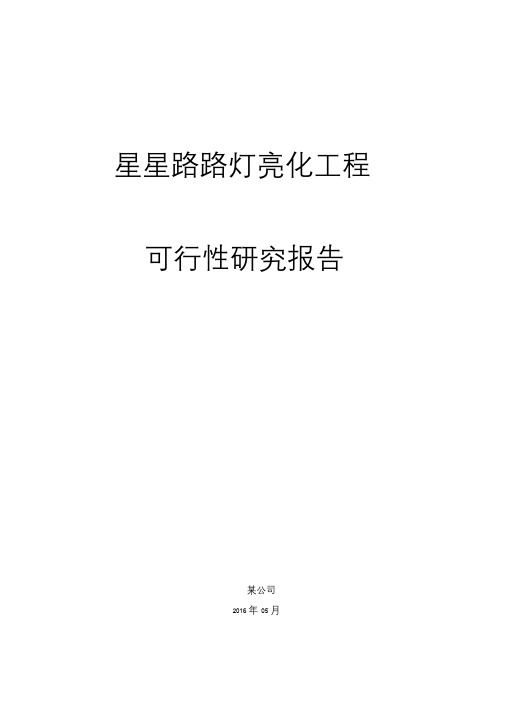 路灯亮化工程项目可行性研究报告