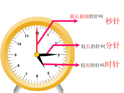 苏教版二年级下册数学2.认识秒(课件)