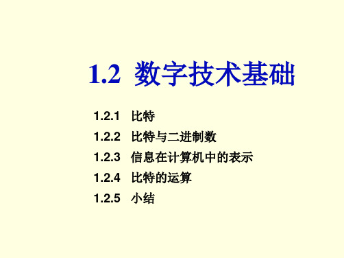 张福炎大学计算机信息技术教程