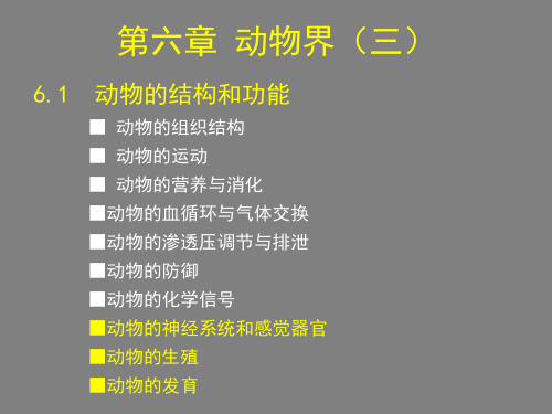 13.6 动物 课件(北京课改版八年级下) (共29张PPT)