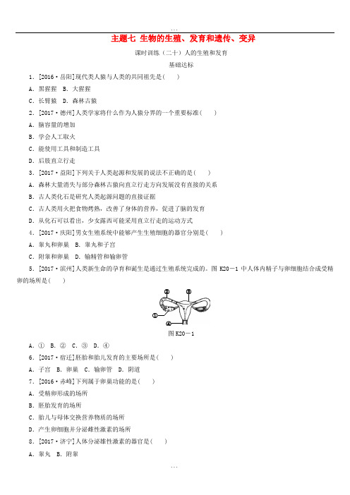 最新中考生物复习(20)人的生殖和发育作业手册(含答案)