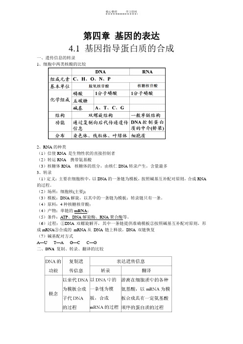高三一轮复习教案 基因指导蛋白质的合成
