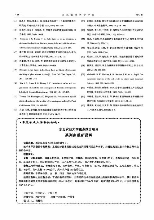 东北农业大学重点推介项目系列南瓜新品种