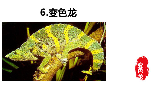 部编版九下《变色龙》最新优质课件