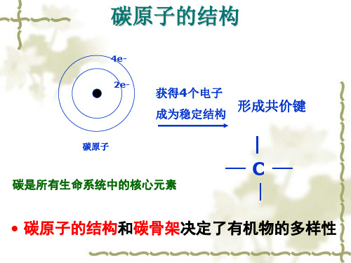 n个氨基酸经脱水缩合形成一条多肽链时