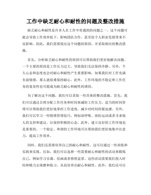 工作中缺乏耐心和耐性的问题及整改措施