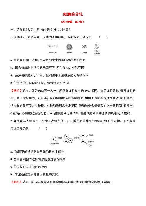 2020学年新教材高中生物6.2细胞的分化测试(含解析)新人教版必修1(最新整理)