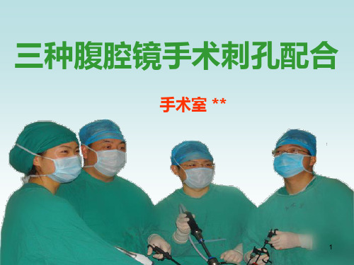 腹腔镜手术穿刺孔位(PPT课件)