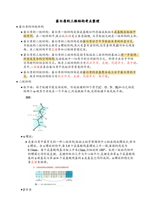 蛋白质的三维结构考点整理