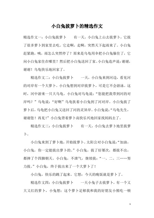 小白兔拔萝卜的精选作文