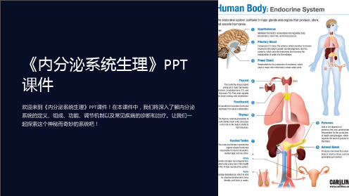 《内分泌系统生理》课件