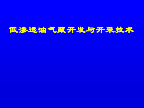 低渗透油气藏开发与开采技术精品PPT课件