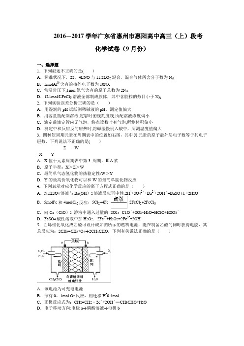 惠州市惠阳高中2017届高三上学期(9月份)段考--化学 含解析