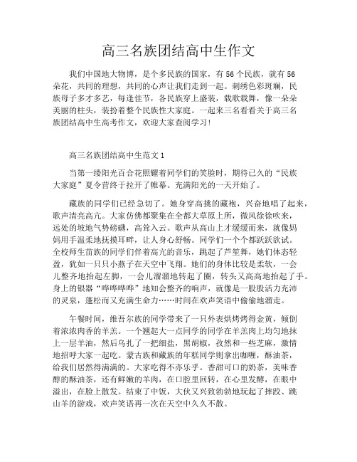 高三名族团结高中生作文