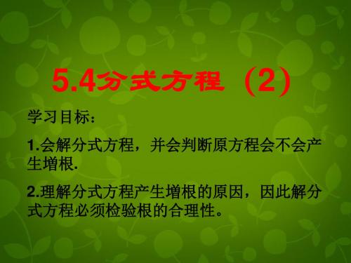 山东省滕州市大坞镇大坞中学八年级数学下册 5.4 分式方程课件2 (新版)北师大版