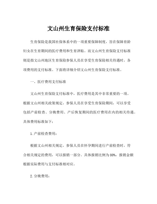 文山州生育保险支付标准