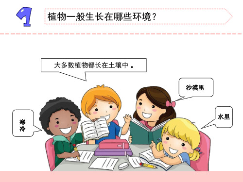 新苏教版小学科学三年级下册8《石头上的植物》教学课件