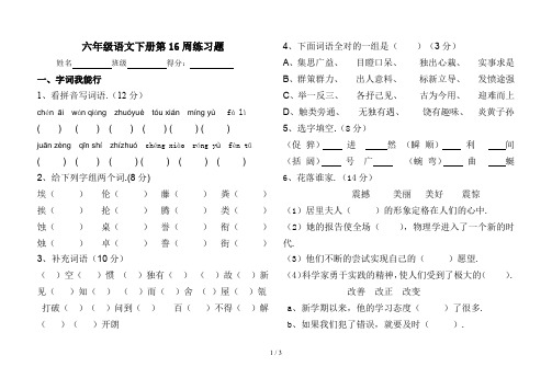 最新六年级语文下册第16周练习题