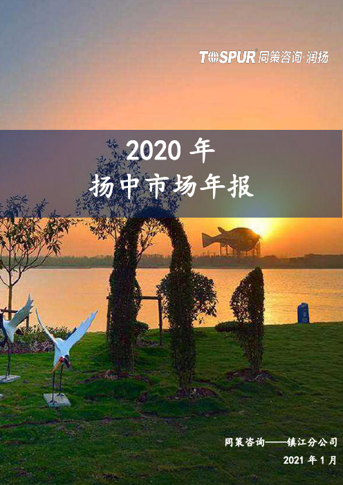 房地产市场报告-2020年报-2020年扬中房地产市场年报-镇江同策出品