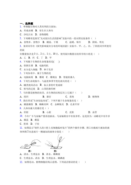 无锡市2019年七上生物期末模拟学业水平测试试题之一