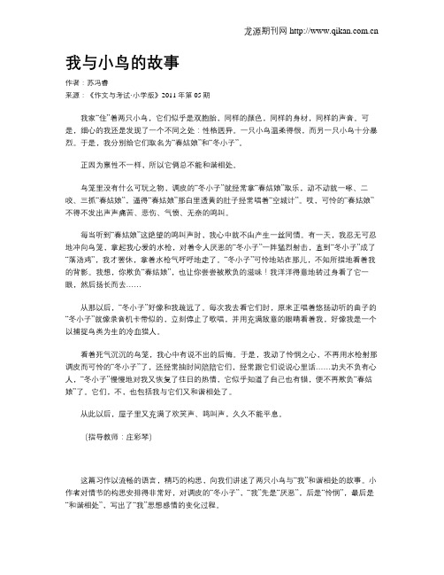 我与小鸟的故事