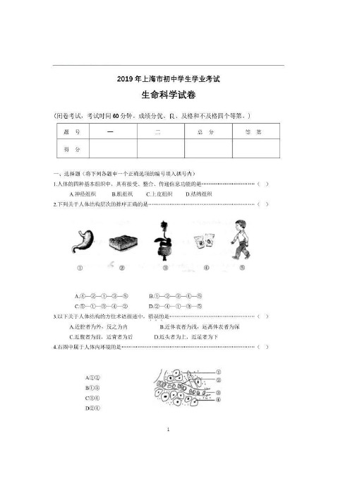 2019年上海市初中学生学业考试生命科学试卷(PDF 有答案)