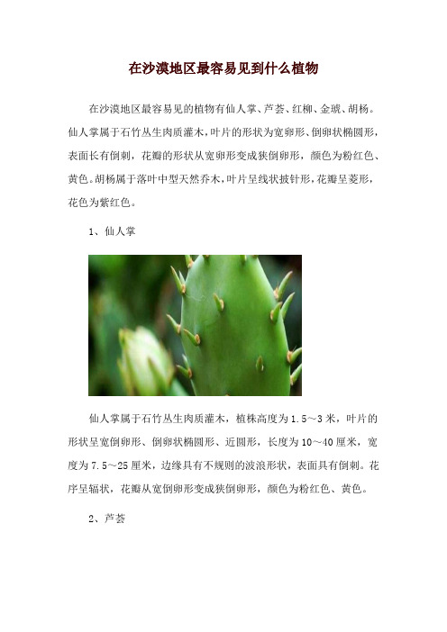 在沙漠地区最容易见到什么植物