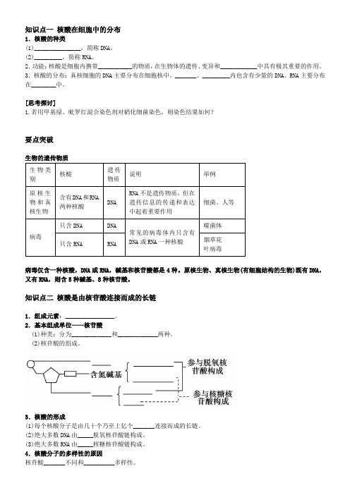 细胞分子核酸