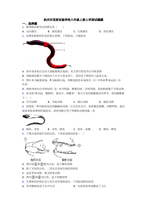 杭州市采荷实验学校八年级上册上学期试题题