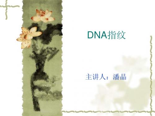 DNA指纹