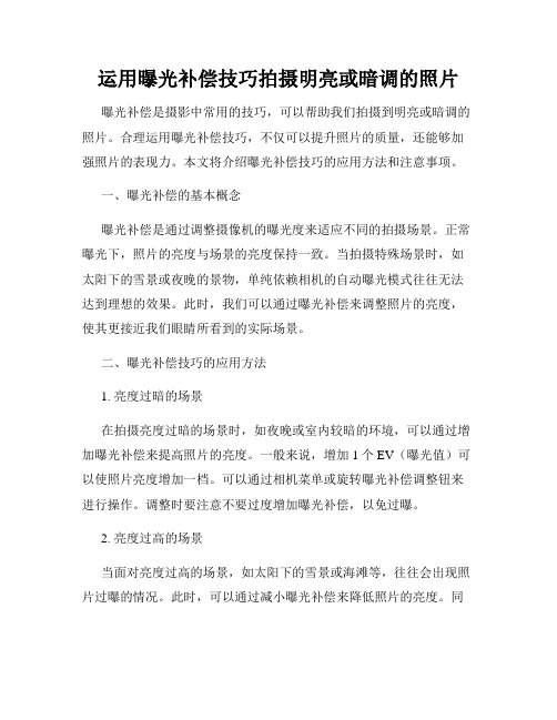 运用曝光补偿技巧拍摄明亮或暗调的照片