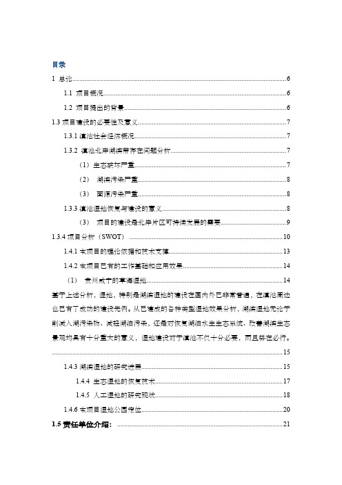 湿地公园建设项目可行性研究报告