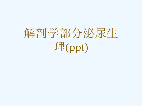 解剖学部分泌尿生理(ppt)