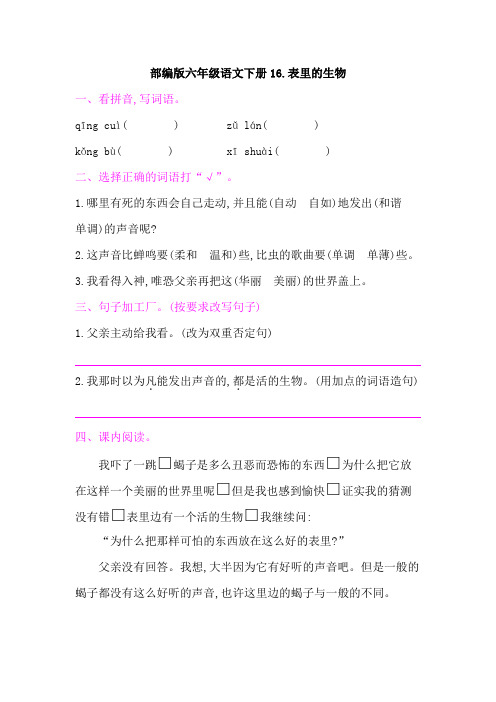 部编版六年级语文下册《16表里的生物 》课后同步作业 附答案