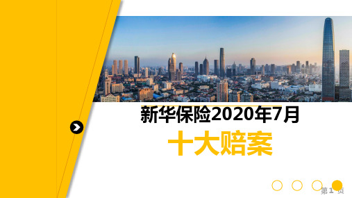 新华保险2020年7月十大赔案13页