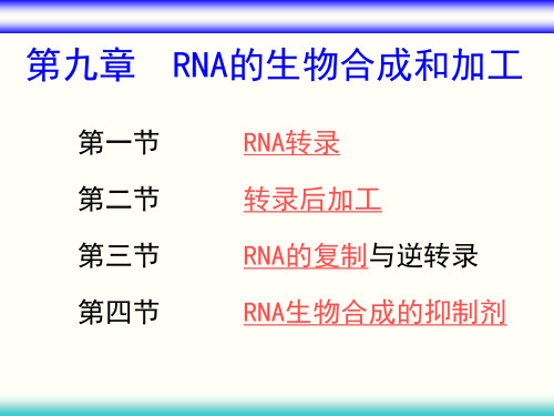 第九章RNA的生物合成和加工